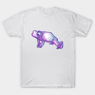 Pastel Frog T-Shirt